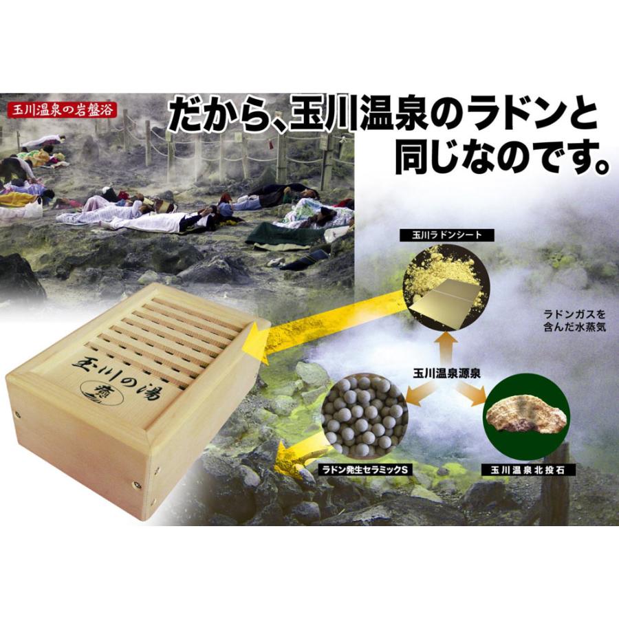 爆買 玉川の湯 「癒」 標準判 家庭用入浴健康器具 玉川温泉をご自宅で