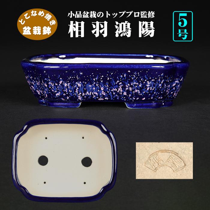 盆栽鉢 鴻陽瑠璃ピンク結晶釉隅入長方鉢 色鉢 ネイビー ピンク 常滑 5