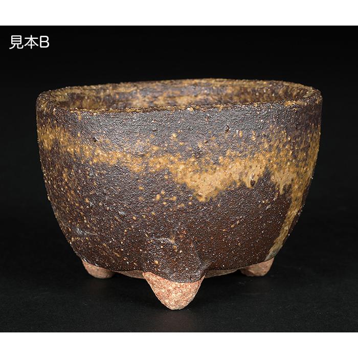 盆栽鉢 山野草鉢 「信楽焼楽風ミニ鉢8点セット」 植木鉢 陶器 2号 7cm
