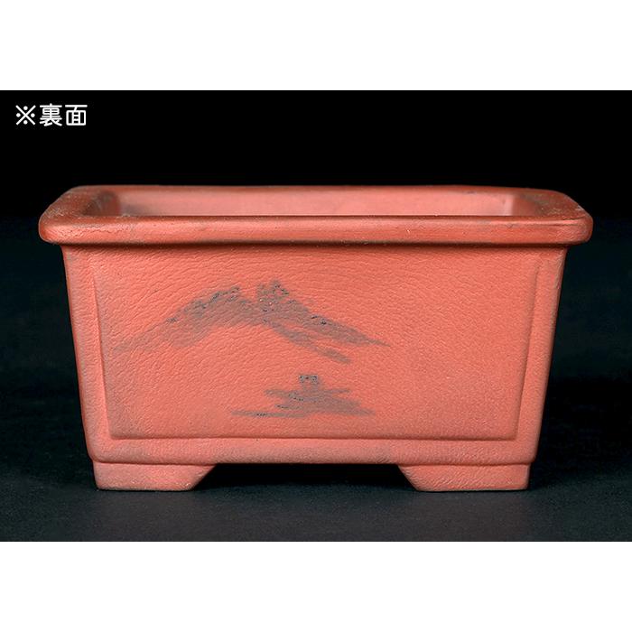 盆栽鉢 「瀬戸焼文山窯朱泥絵付鉢4点セット」 植木鉢 絵鉢 泥鉢 焼締 3