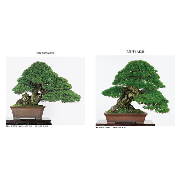 書籍 本 盆栽専門誌「第41回 日本盆栽大観展 記念帳」盆栽 松柏 雑木