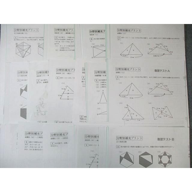 SAPIX サピックス 分野別補充プリント 算数 【計46回分】 2024 017S2D