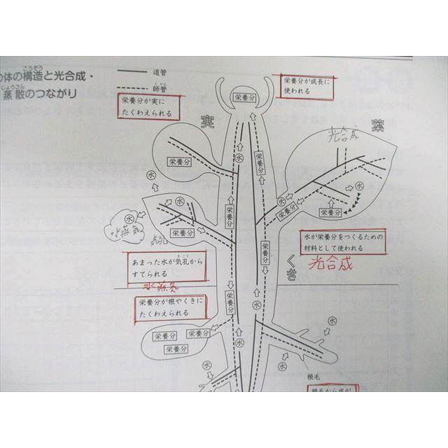 日能研 小5 本科教室/栄冠への道 ステージIII/IV 国語/算数/理科/社会