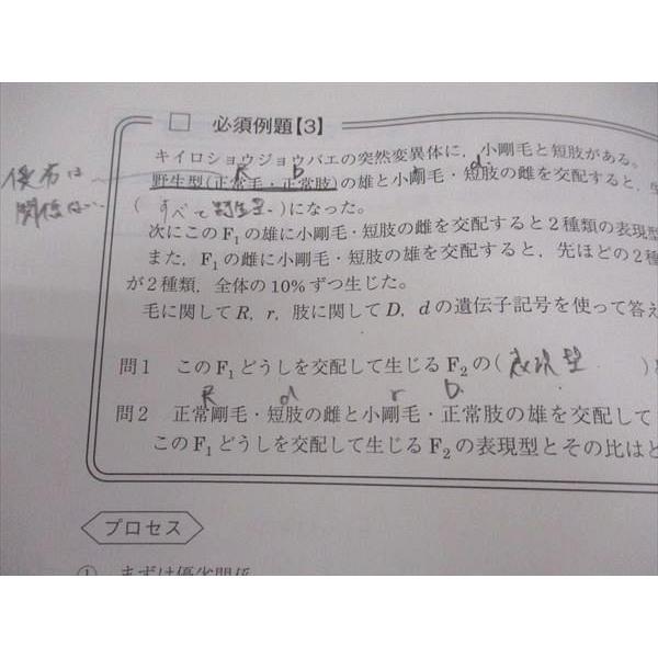 駿台 遺伝特講 テキスト 2022 夏期 大森徹 ☆ 005s0C : ブックス