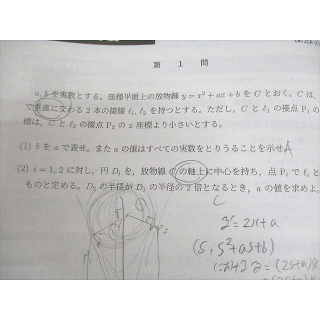 Z会 東京大学 Zstudy 特講 添削問題編 過去問添削 東大英語/文系数学