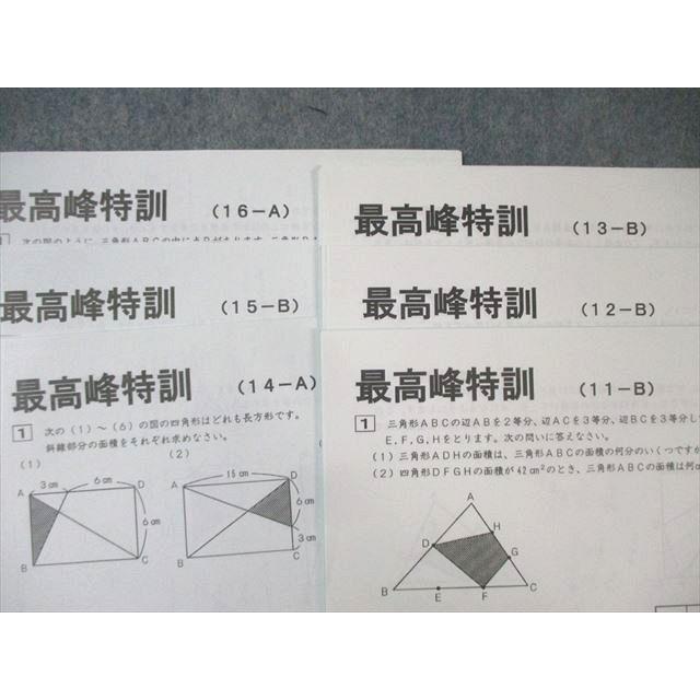 SAPIX サピックス 算数 最高峰特訓 【計16回分】 ☆ 014m2D : ブックス