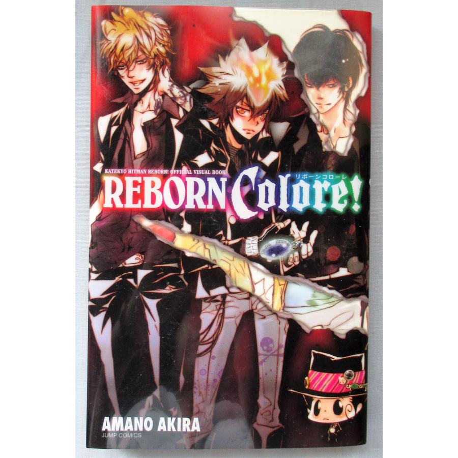 家庭教師ヒットマン REBORN 全巻 セット 全42巻 ボンゴレセッタンタ