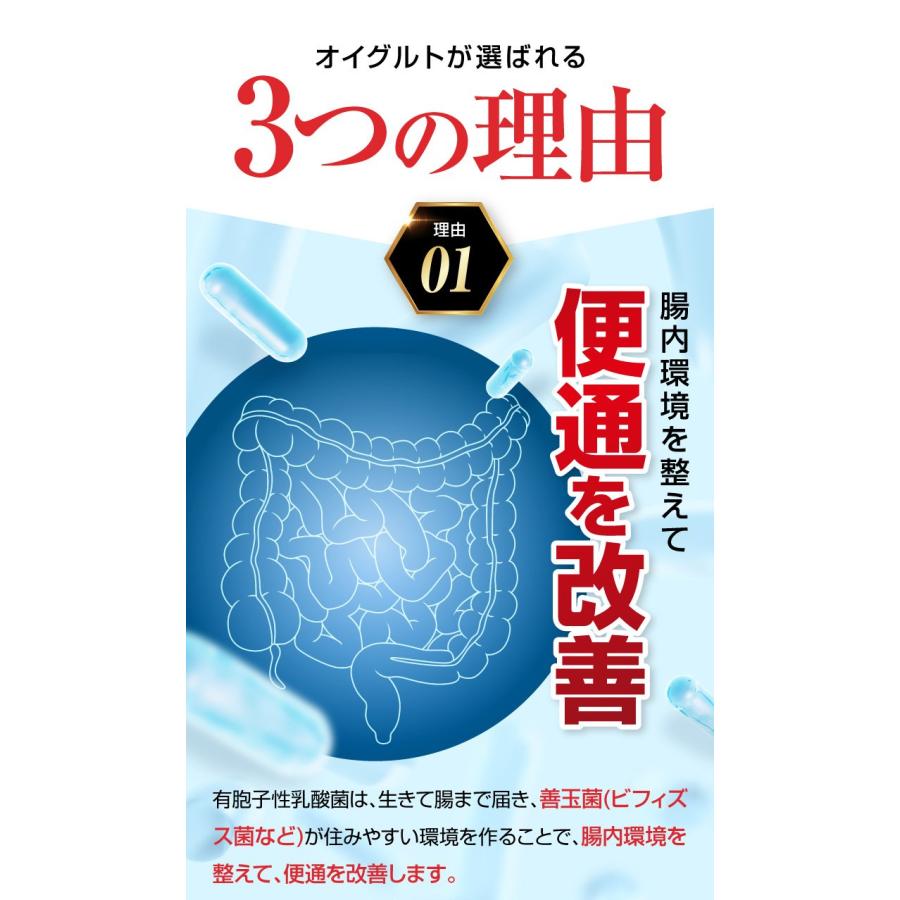 Oi gurt-オイグルト- 30日分】 ダイエットサプリ 機能性表示食品 便秘