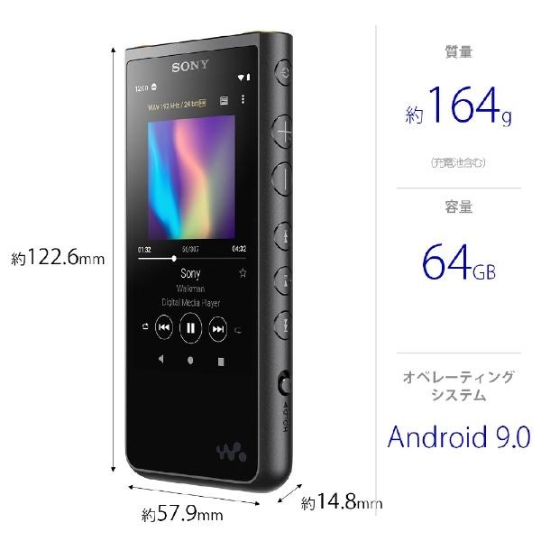 SONY（ソニー） ウォークマン WALKMAN 2019年モデル NW-ZX507-BM ZX