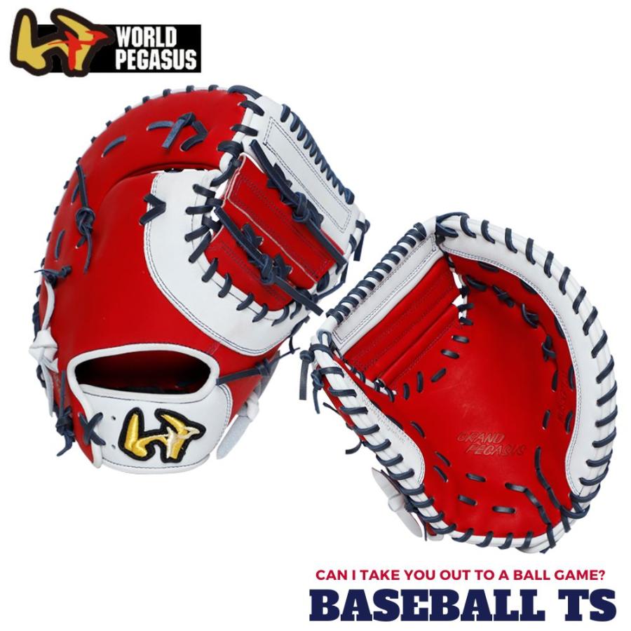 ワールドペガサス（WORLD PEGASUS） ソフトボール用 キャッチャー