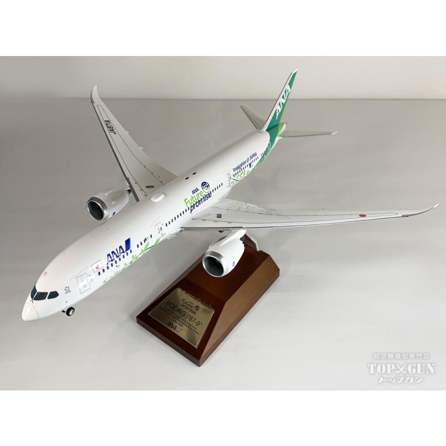 B787-9 ANA 全日空 Future Promise / フューチャー プロミス 特別塗装