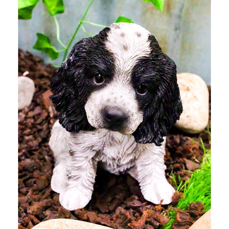 置物 彫像 イングリッシュ コッカー スパニエル 犬 子犬 いぬ イヌ