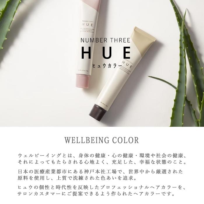HUE ナンバースリー ヒュウ ファッション カラー 6/SB 80g サンド