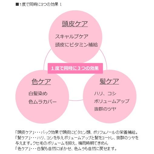 JAPAN HENNA ヘナ ジャパンヘナ プラチナ ブルー ヘナパウダー 業務用