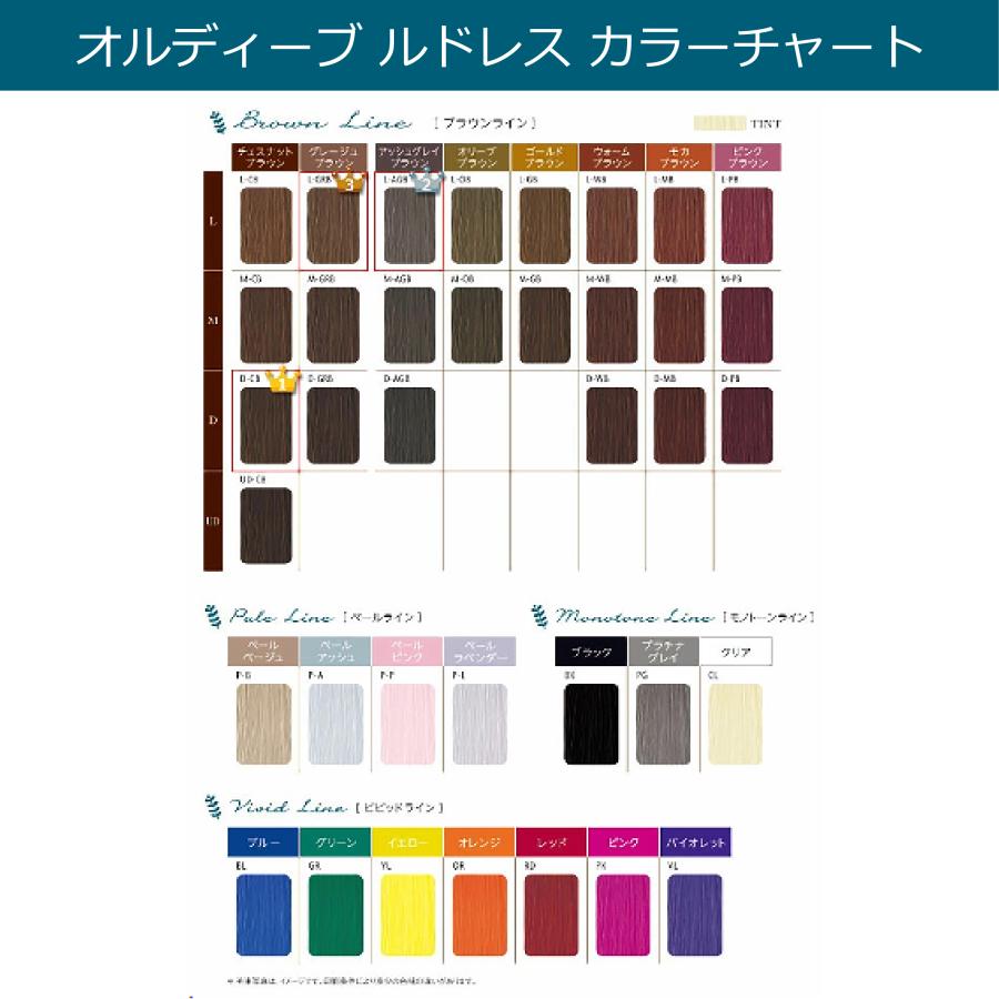 ORDEVE（オルディーブ） 白髪染め ヘアマニキュア ミルボン ルドレス 4