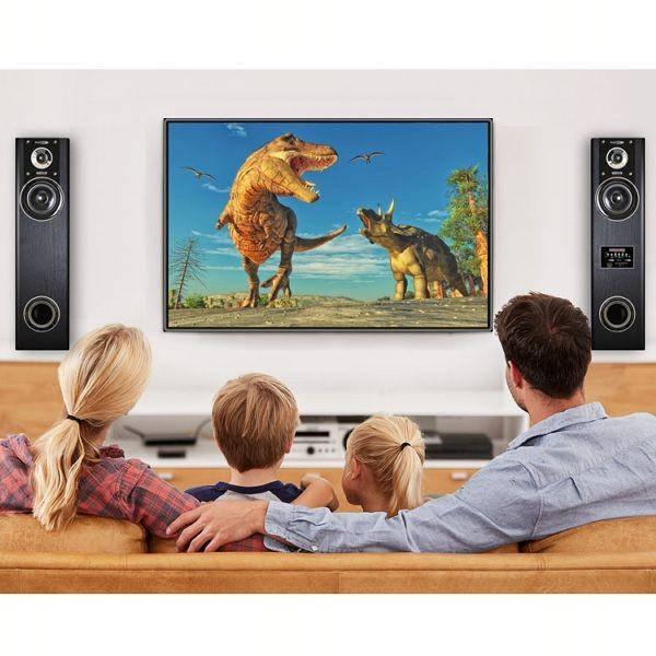 タワースピーカー クマザキエイム アンプ内蔵タワースピーカー TS