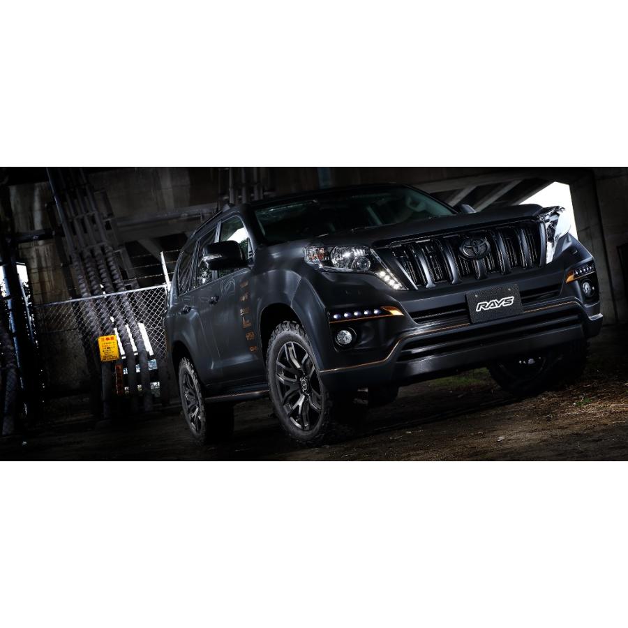 TEAM DAYTONA RAYS レイズ FDX F6 8.0J-17 +20 6H139.7 ブラック