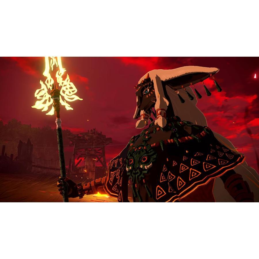 Nintendo Switch 2 ゼルダ無双 封印戦記 TREASURE BOX : ブラウニー