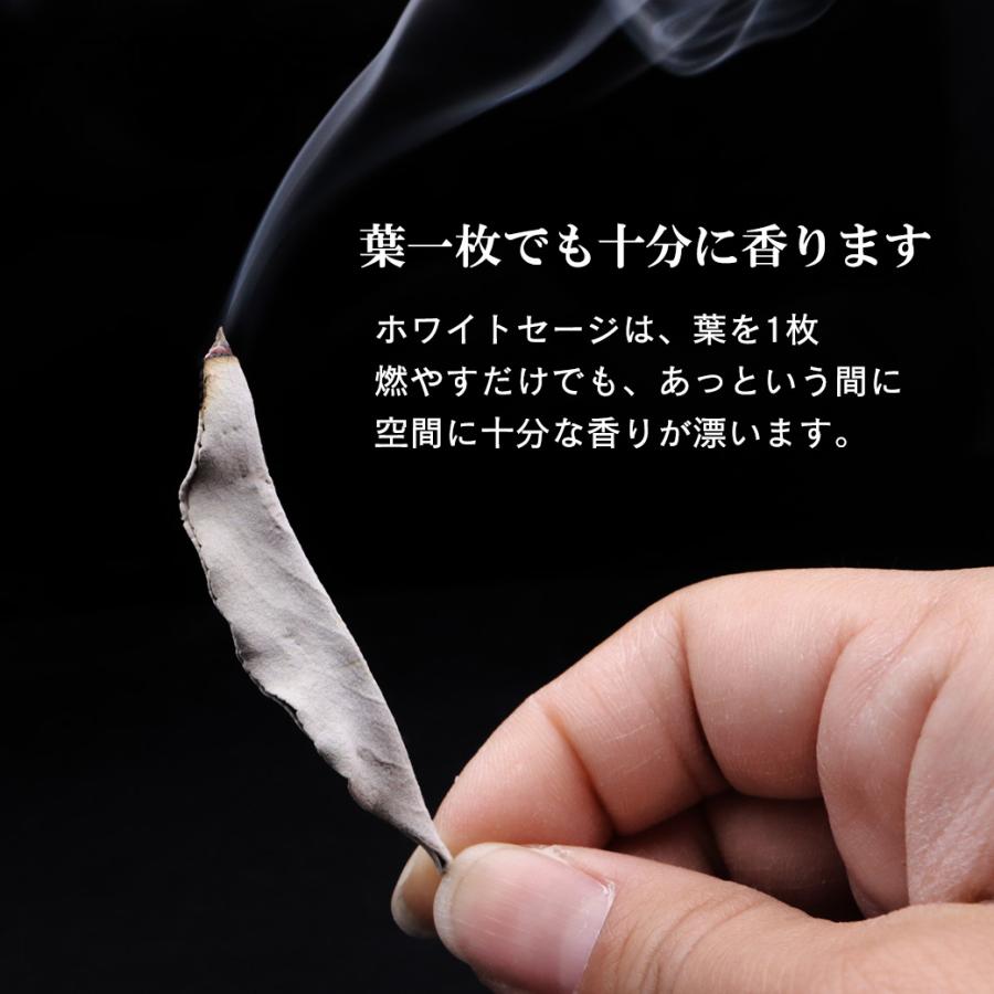 GOLD STONE ホワイトセージ 枝付き 選別済み 無農薬 オーガニック 高