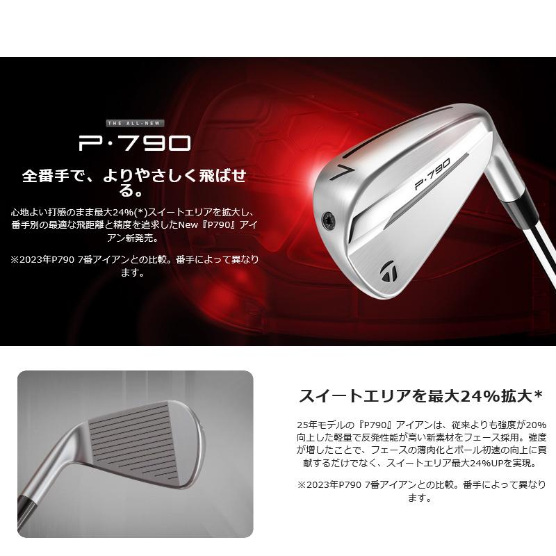 TaylorMade（テーラーメイド） 2025 P790 アイアン 単品 N.S.PRO