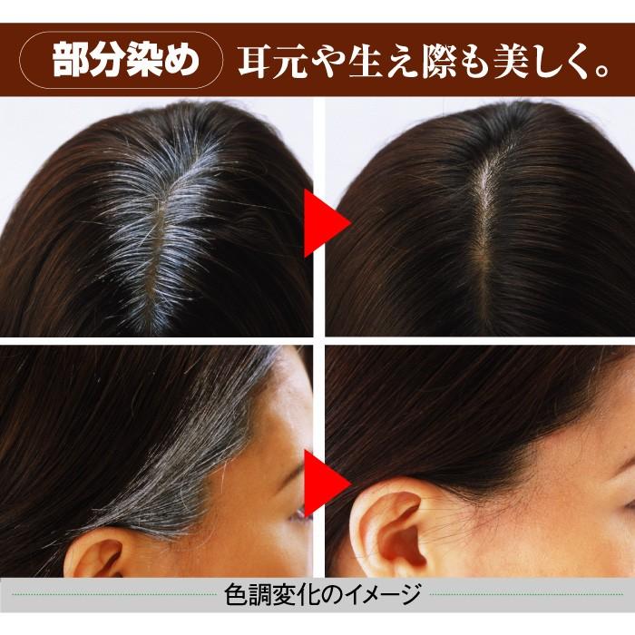 光で染まる白髪染め サンカラーマックス 75g ノンジアミン ヘアカラー
