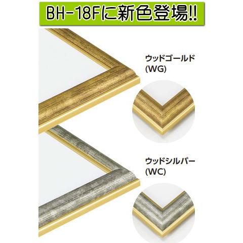 BH-18F 30×60 (300×600mm) ワイド額 横長額 水彩額 水彩額縁 デッサン