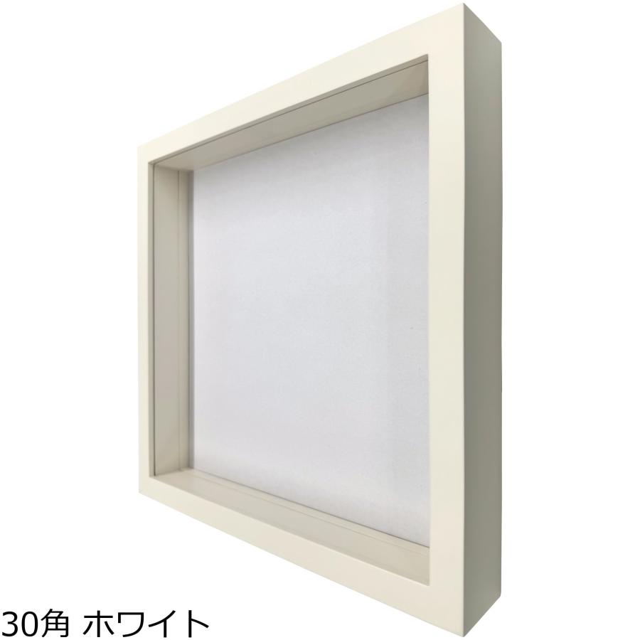 立体額 9790 ガラス付 /額縁内寸法:350×350(35角) : 額縁のタカハシ