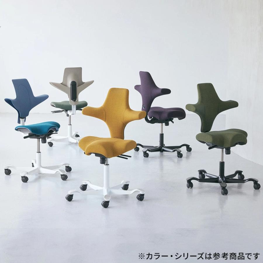 正規輸入品】HAG Capisco ホーグ カピスコ オフィスチェア デスク