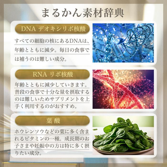 銀座まるかん まとめ買いクーポン配布中 未来の青汁 ウルトラ パニウツ