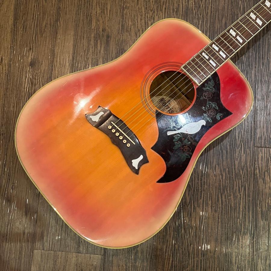 Morris Morris WD-30 Acoustic Guitar アコースティックギター