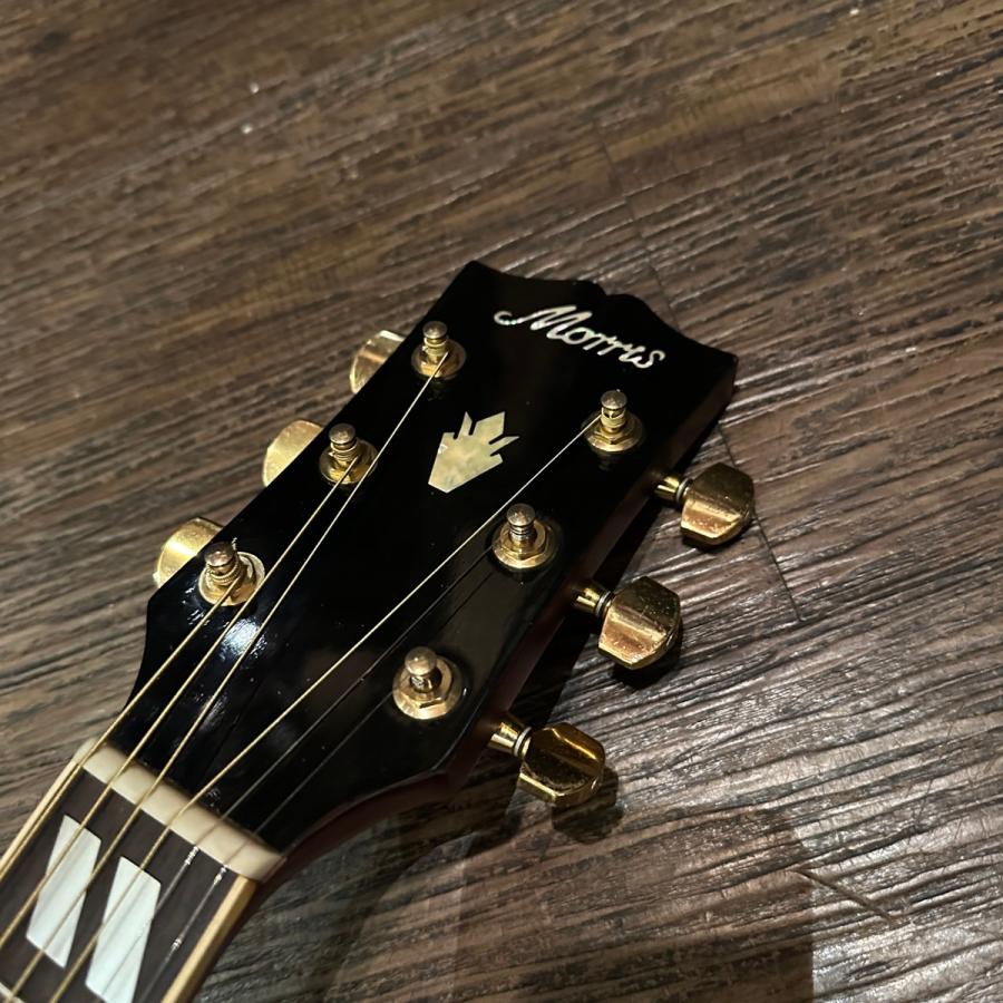 Morris Morris MWD-03 Acoustic Guitar アコースティックギター