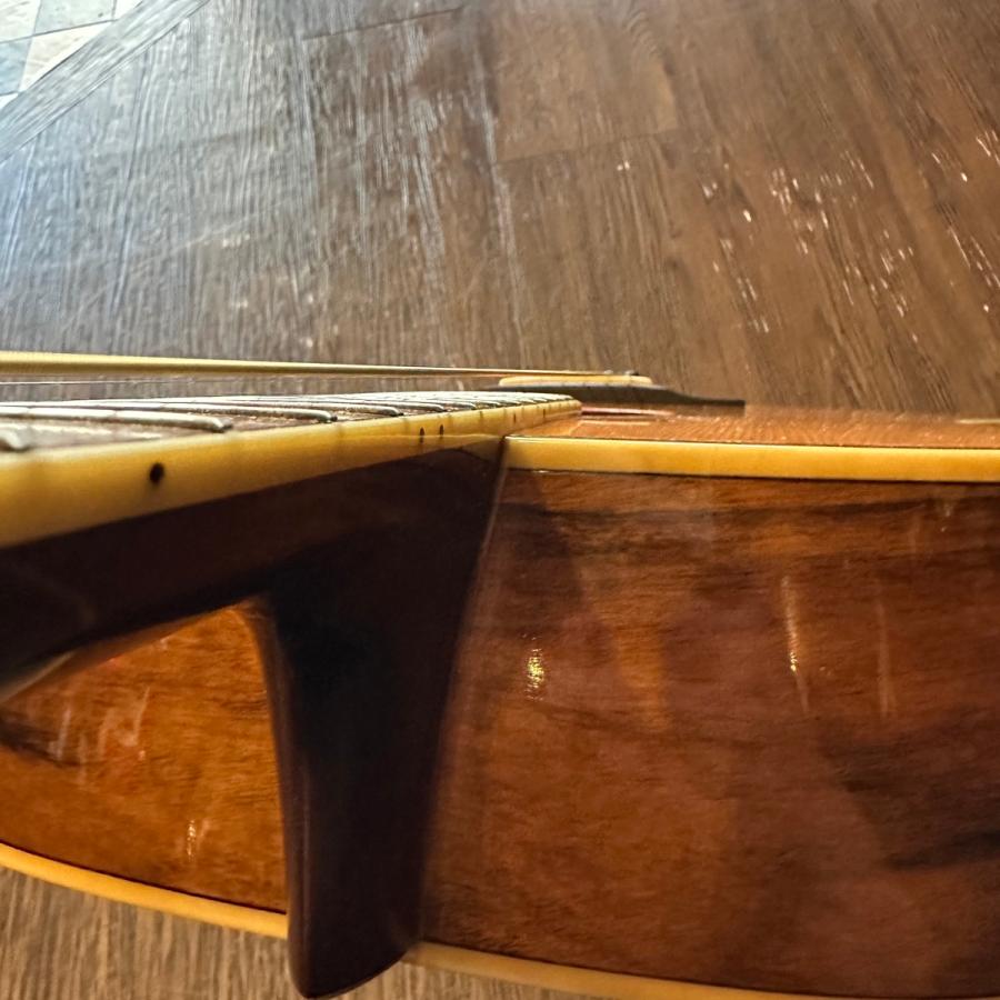 Morris Morris MD-520 Acoustic Guitar Made in Japan