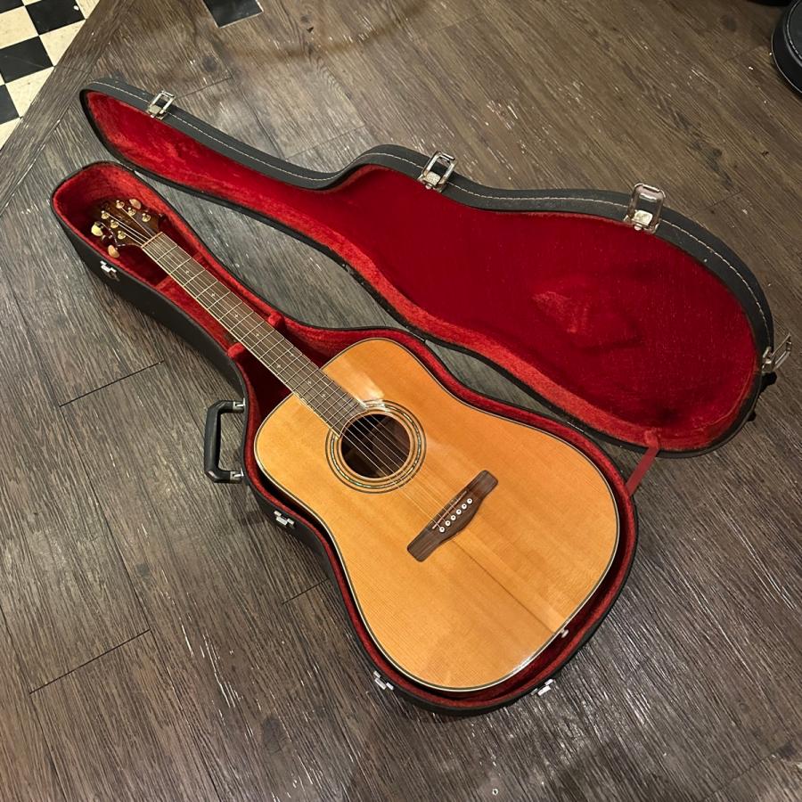 Greg Bennett ASDM ハードケース付き Acoustic Guitar