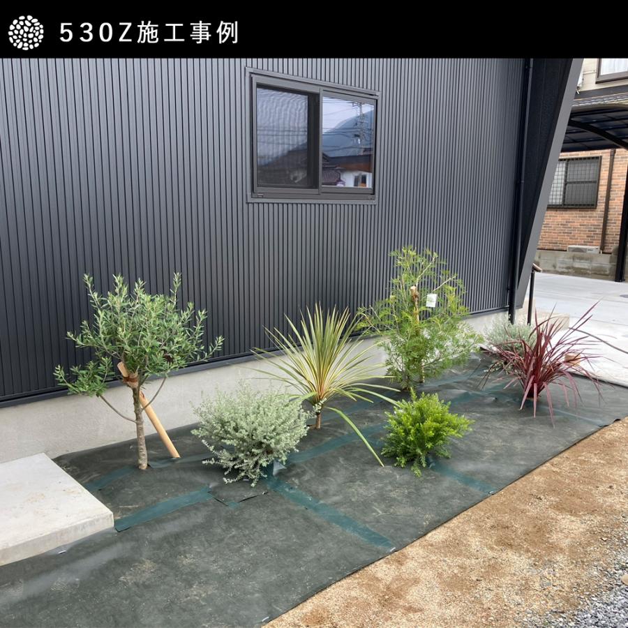 NITTO SEKKO 防草シート ピン 付 2m×50m 100平米 ぼうそうシート 雑草