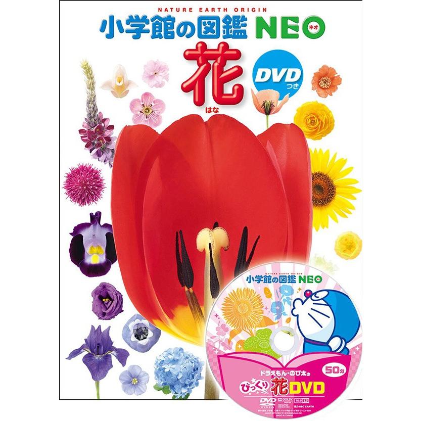 小学館の図鑑NEO 花 DVD付き : 代官山 蔦屋書店 ヤフー店 - 通販