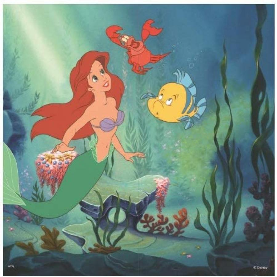 アサヒペン 障子紙 のりで貼る ディズニー プリンセス リトル