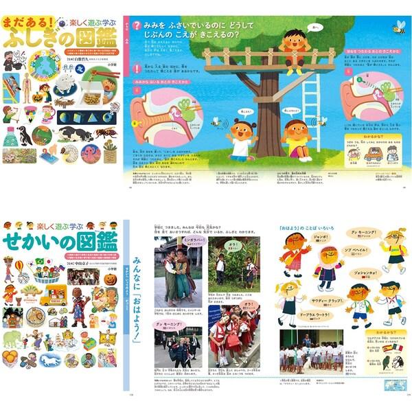 小学館 図鑑NEO プレNEO 11冊セット 不思議 世界 日本 世の中 工夫