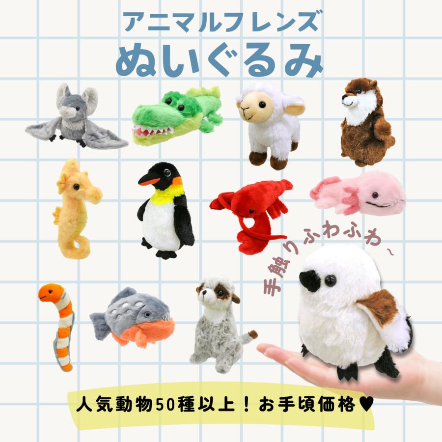 Animal Friends（アニマルフレンズ） ぬいぐるみ ウミガメ お手頃 景品
