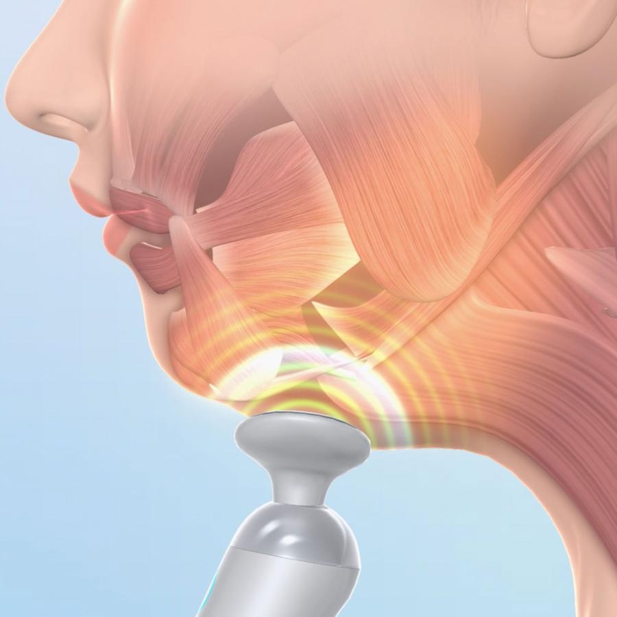 スタイリーフェイス美顔器dinos スタイリーフェイス美顔器 dinos