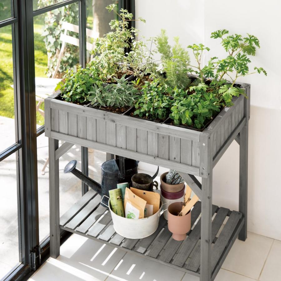 dinos（ディノス） ハーブ用菜園プランター ベジトラグ 薄型（4コマ