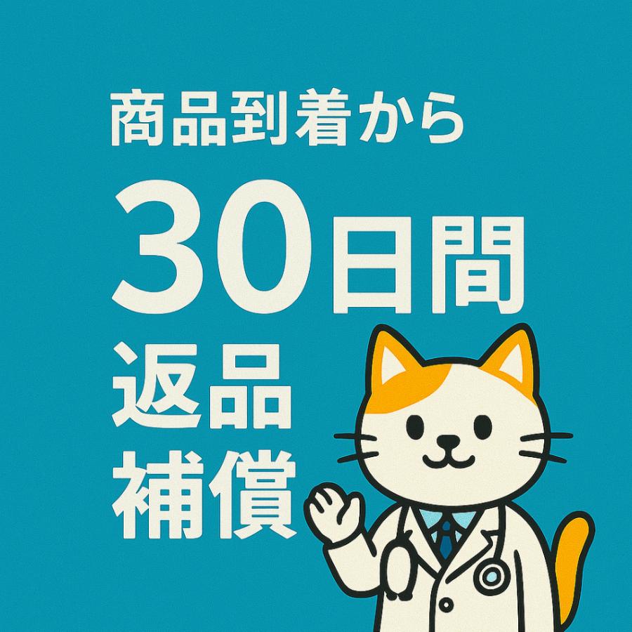 不幸はいかが? / 不幸のプロジェクト , 平沢進 小西健司 CD 邦楽