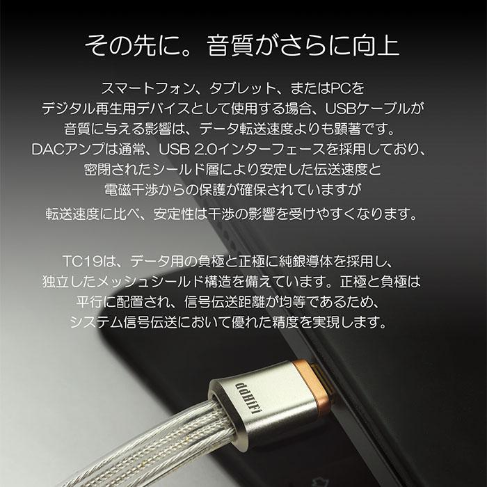 ddHiFi ddHiFi TC19CC USB-C To USB-C OTGケーブル 45cm USBケーブル