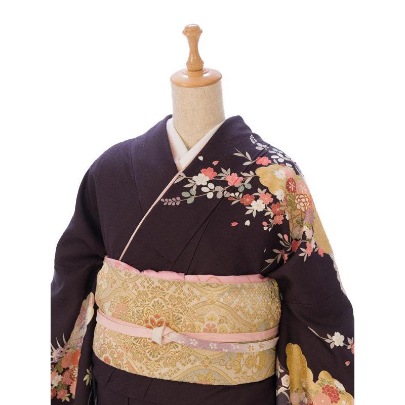 15〜23号|正絹|3L|4L|古典柄|訪問着フルセット(茶色系)|訪問着・付下げ