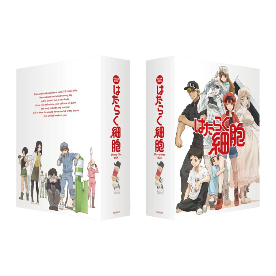 TVアニメ はたらく細胞 全巻 1-7 DVD セット : 脳トレ生活 - 通販