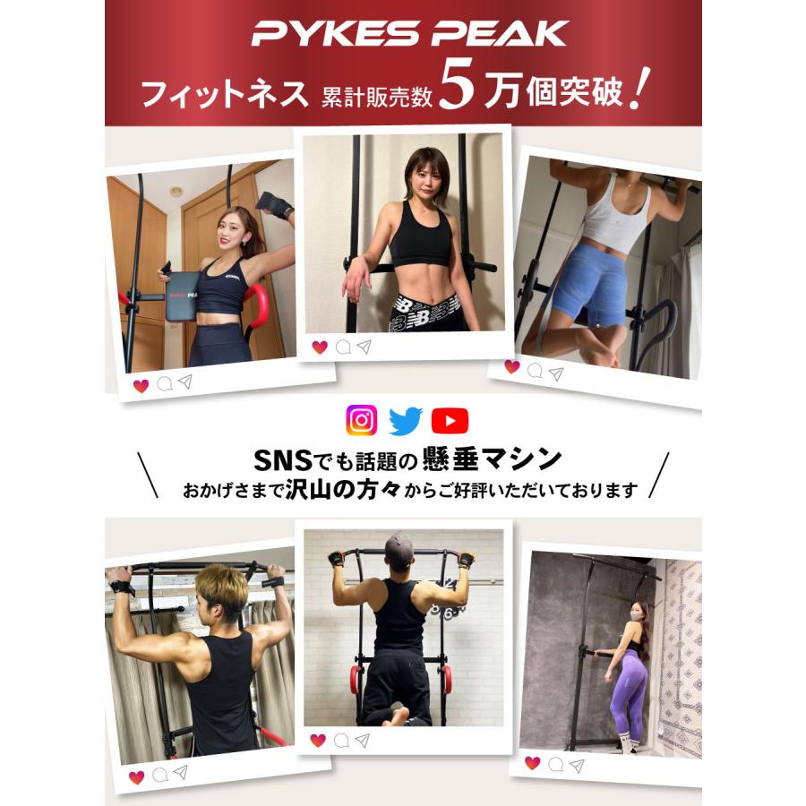 PYKES PEAK（パイクスピーク） ぶら下がり健康器 懸垂マシン 耐荷重