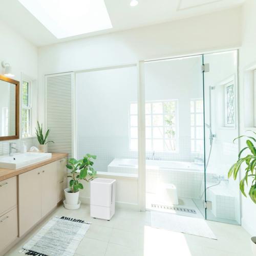 アイリスオーヤマ(Iris Ohyama) ICA-0302G ホワイト コンパクト