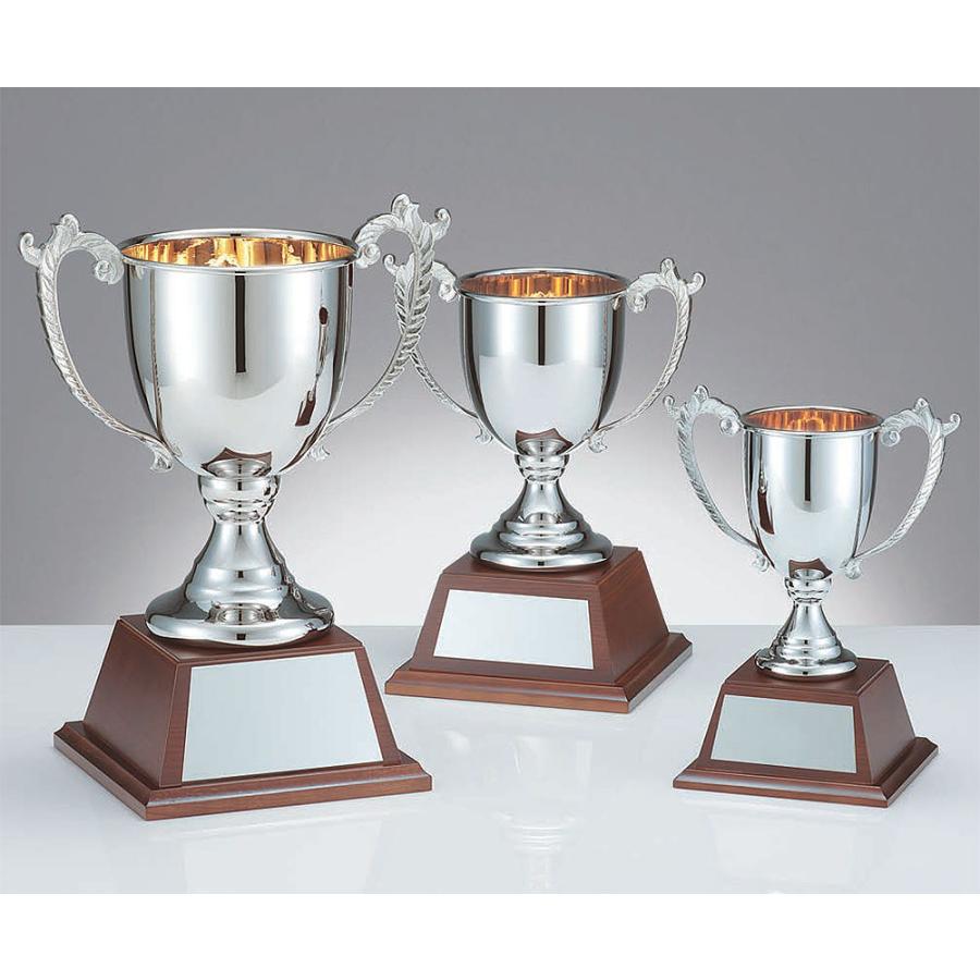 旅の石工 金澤雅子著 旅の石工 〈新装版〉: 丹波佐吉の生涯 旅の石工