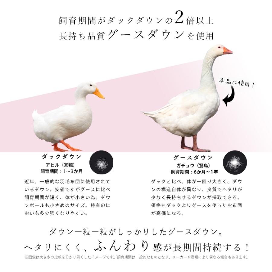 西川（nishikawa） 羽毛布団 グース ダブル 布団カバー付 ホワイト