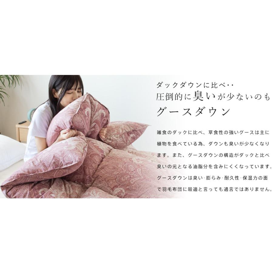 西川（nishikawa） 羽毛布団 グース ダブル 布団カバー付 ホワイト