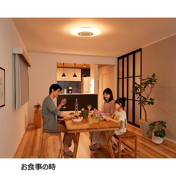 IRIS OHYAMA（アイリスオーヤマ） CEA-A12DLP LEDシーリングライト 12